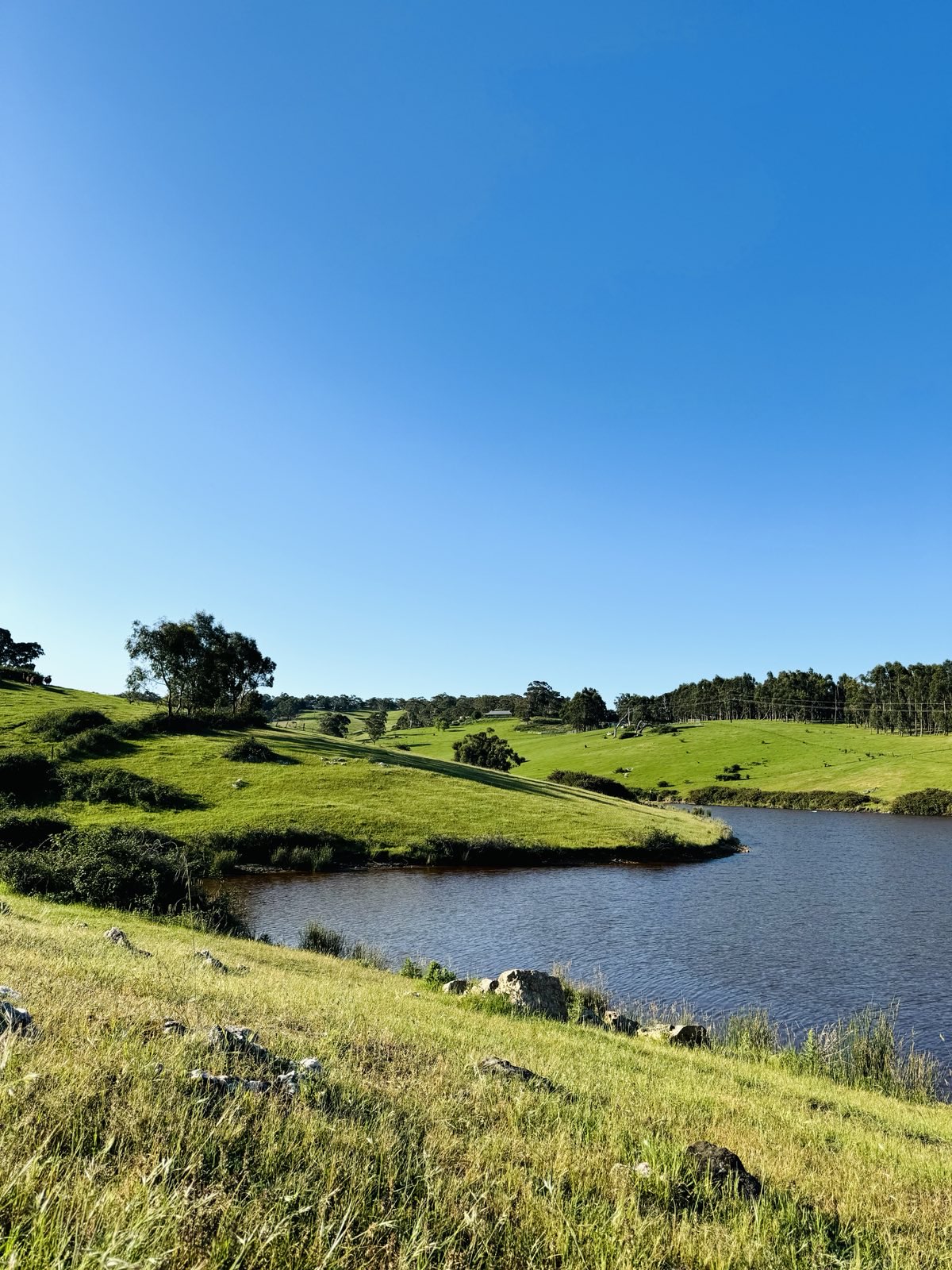 Rolling green hills surrounding a body of water.
